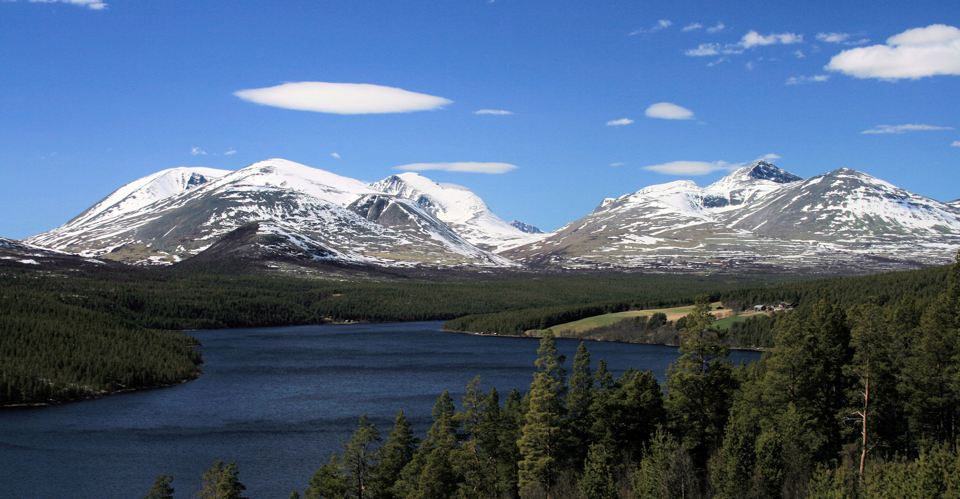001 Rondane - Foto Geir Johansen.jpg