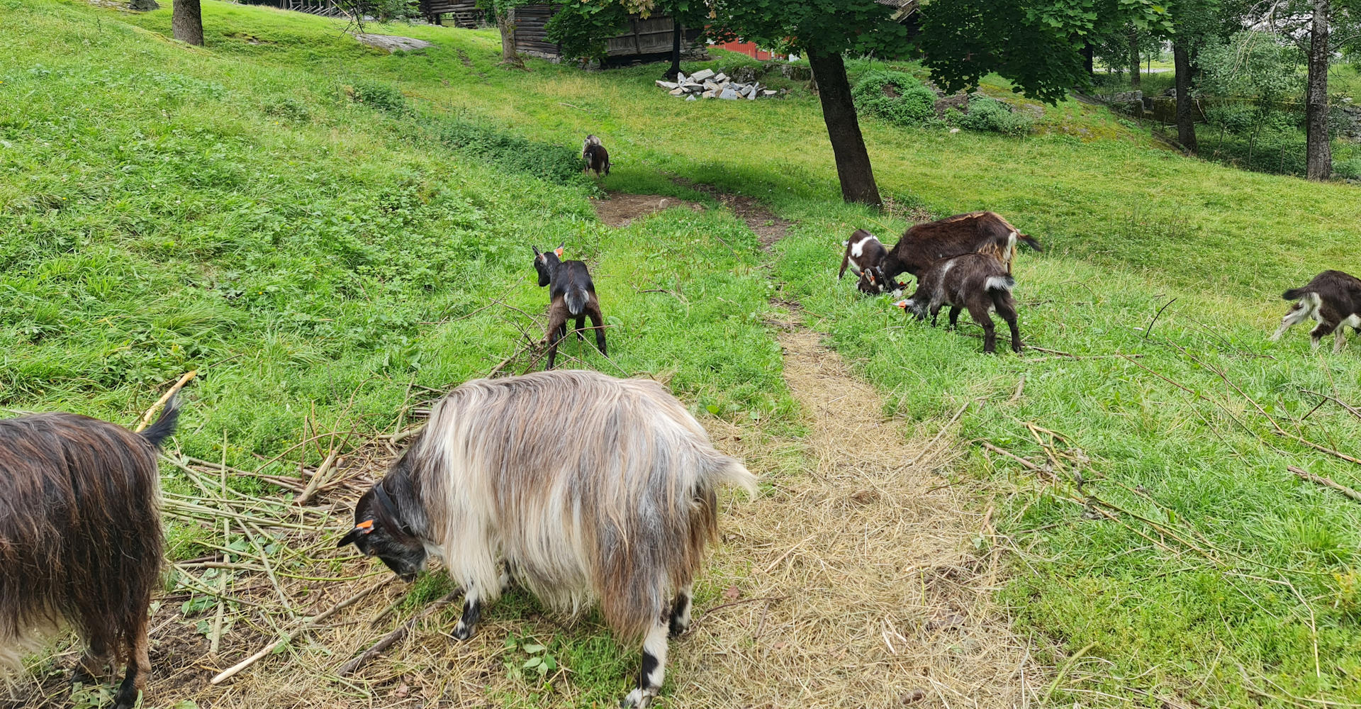 Lågdalsmuseet - Banner - 004 - Foto Geir Johansen.jpg