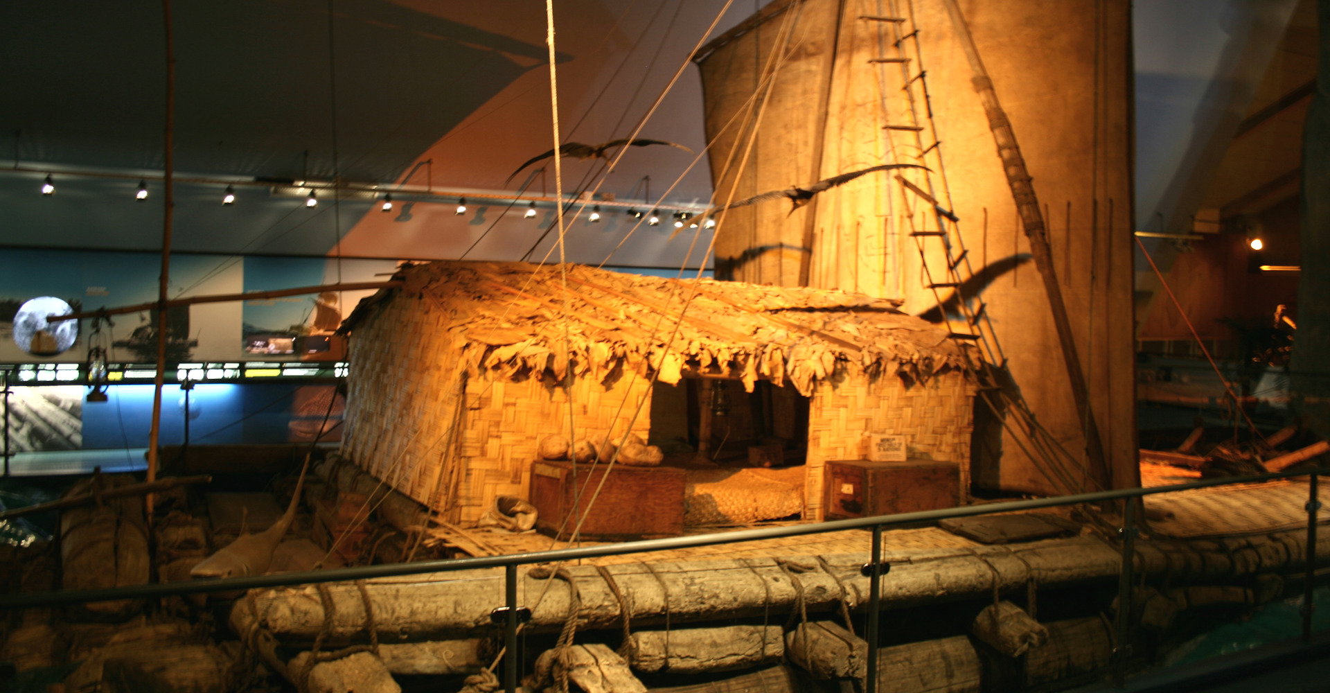 003 Tiki - Foto Geir Johansen.jpg