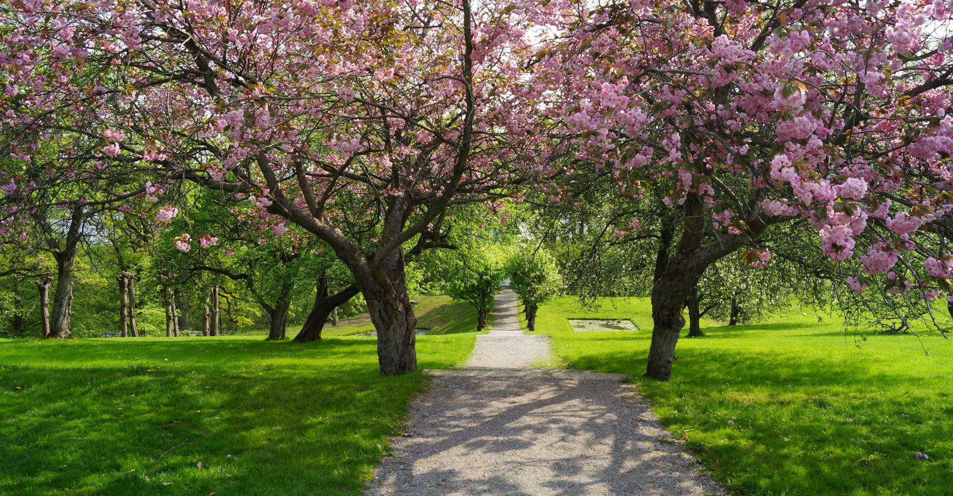003 Rød herregård - Foto Geir Johansen.jpg