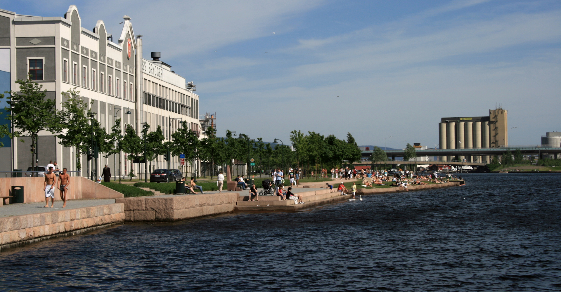 009 Langs elveparken-foto Geir Johansen.jpg