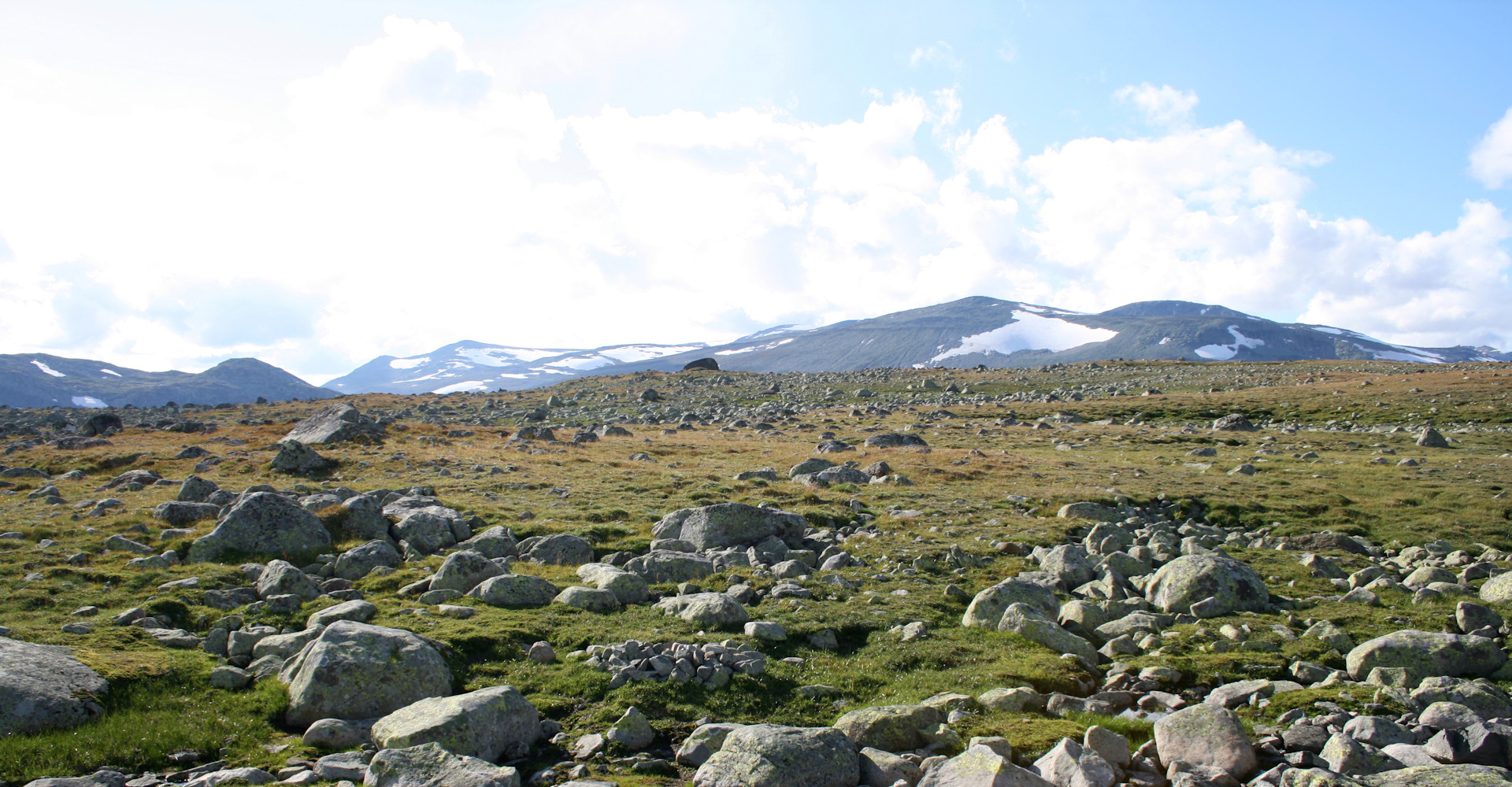 0005 utsikt mot Jotunheimens fjell i vest-foto Geir Johansen.jpg