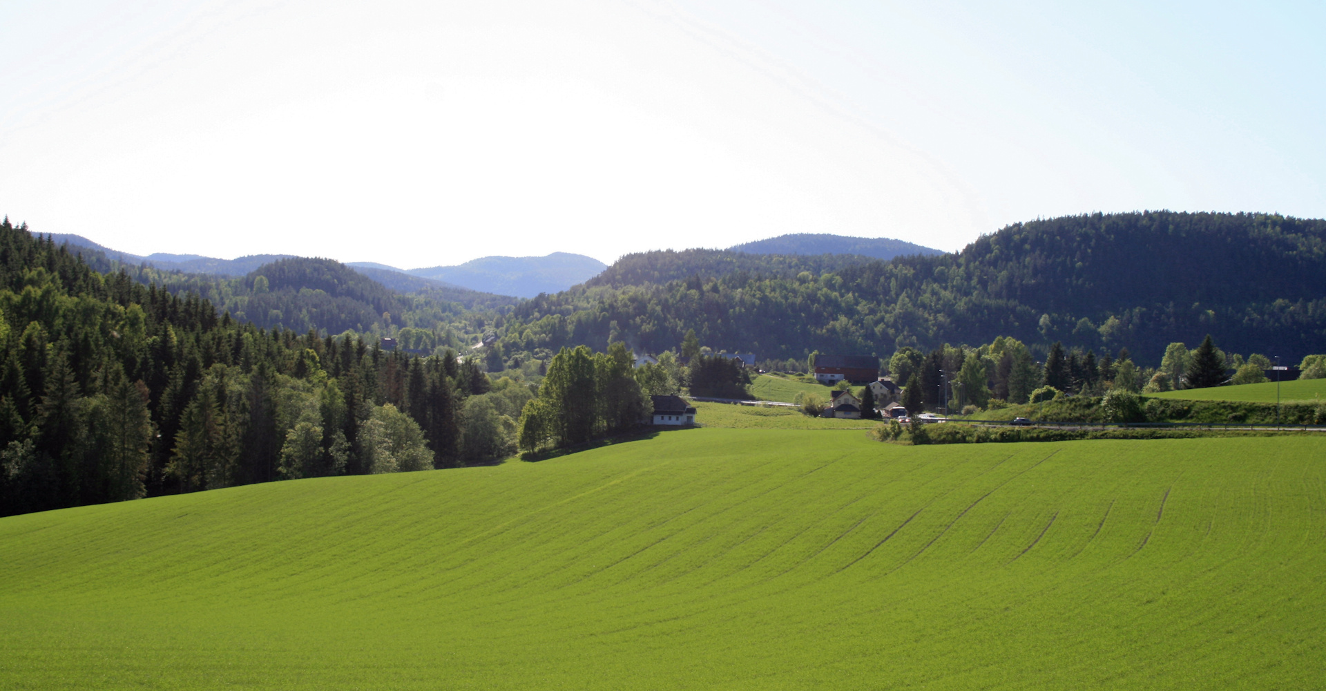 014 telemarksnatur nord vest for Skien-foto Geir Johansen.jpg
