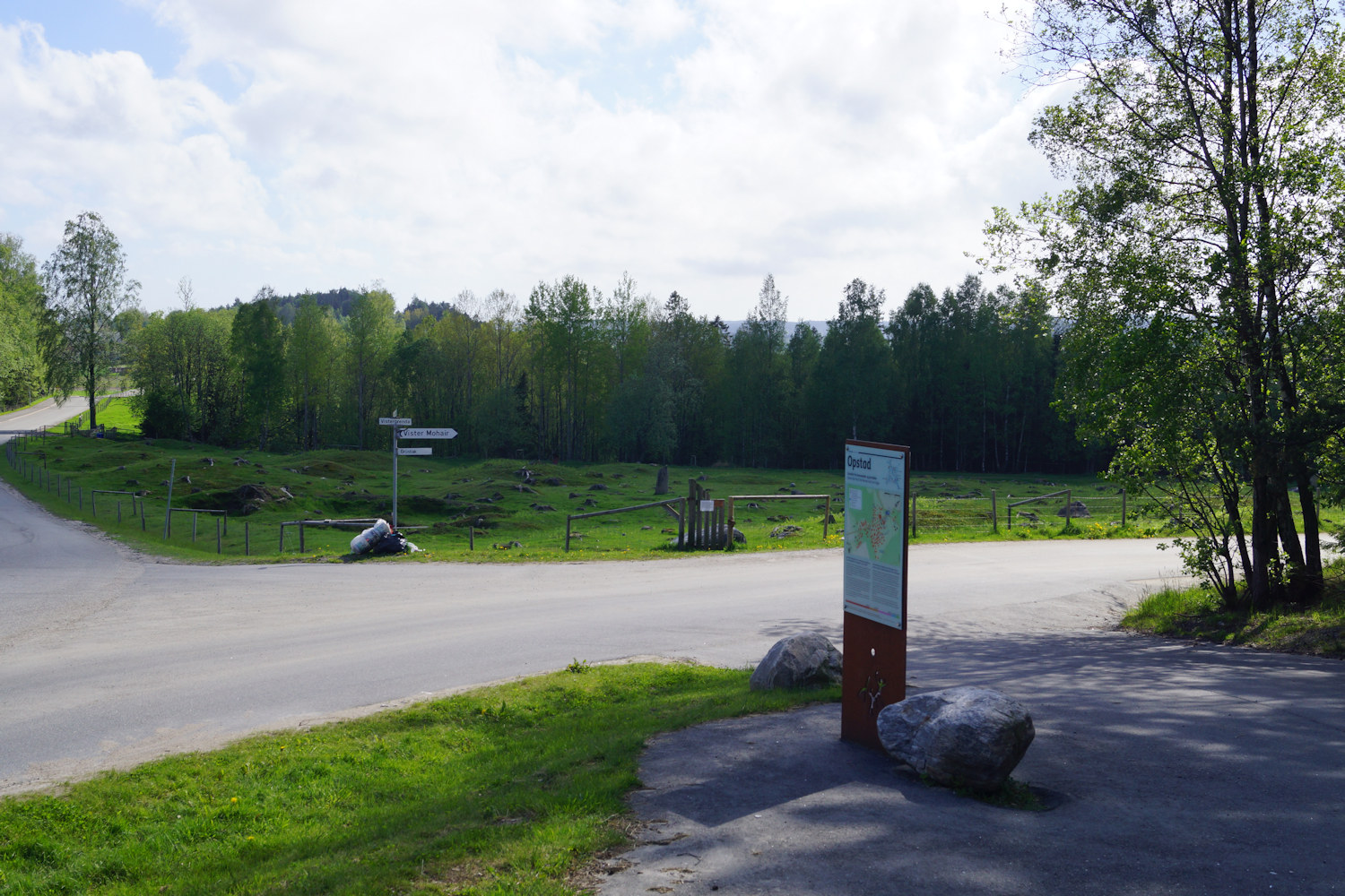 Opstadfeltet Gravfelt - 004 - foto Geir Johansen.jpg