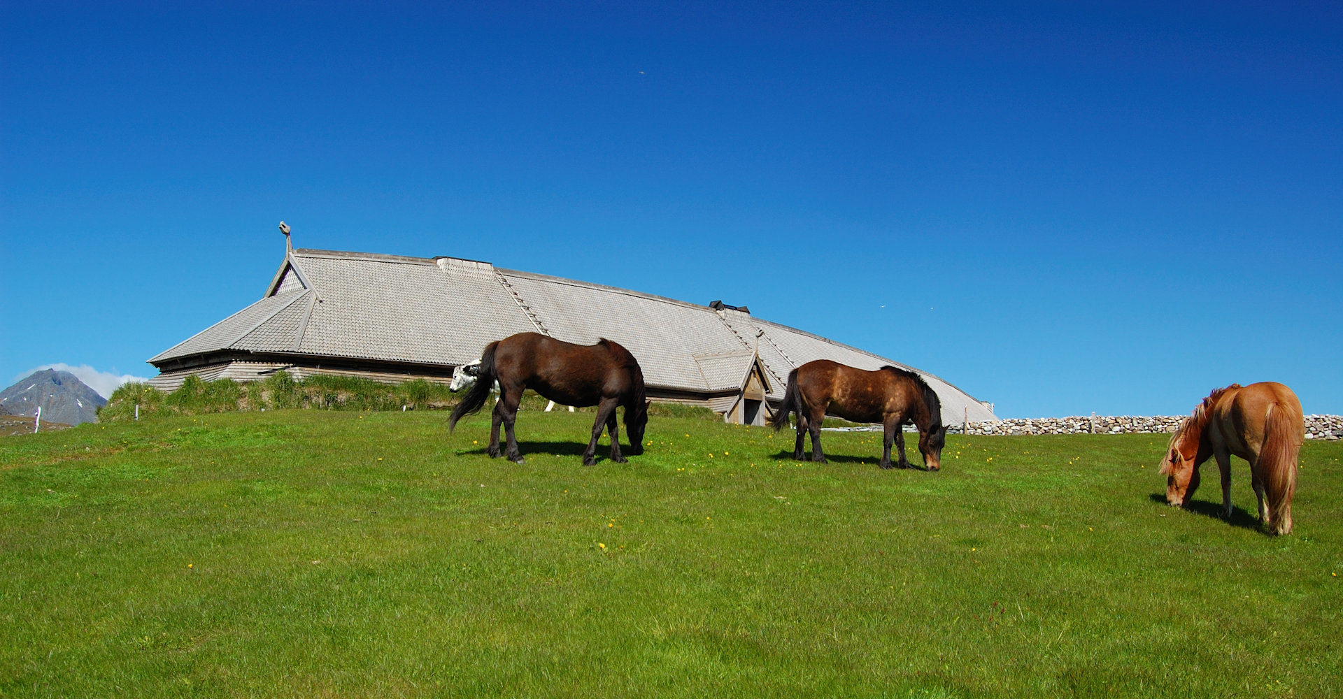 005 Lofotrvikingmuseum - foto Petr Šmerkl - Wikipedia.jpg