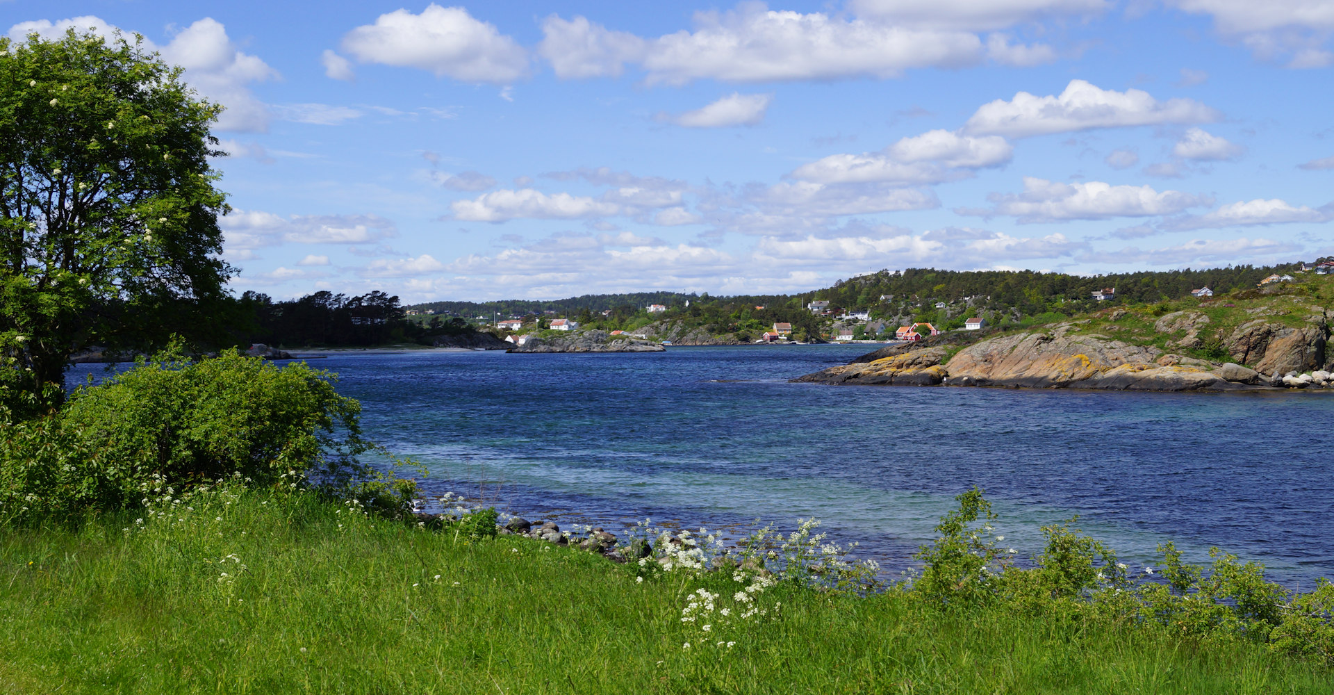 009 - Hove og Hoveskogen - Foto Geir Johansen.jpg