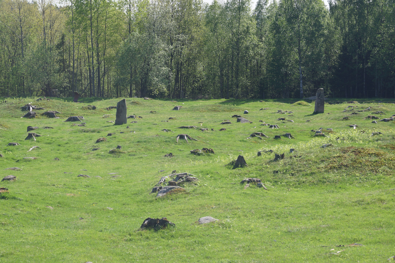 Opstadfeltet Gravfelt - 002 - foto Geir Johansen.jpg