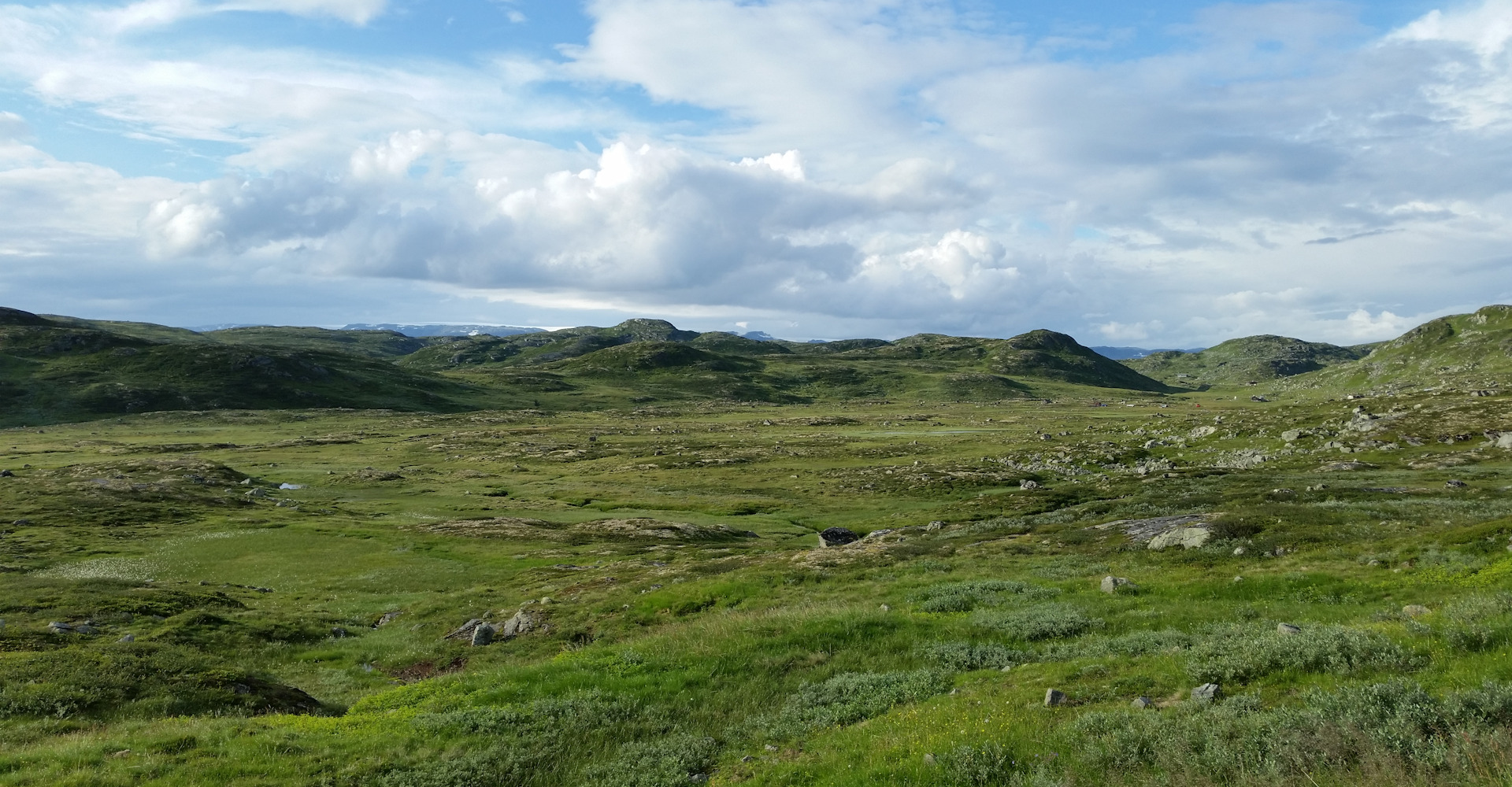 Hardangervidda 3-foto Geir Johansen.jpg