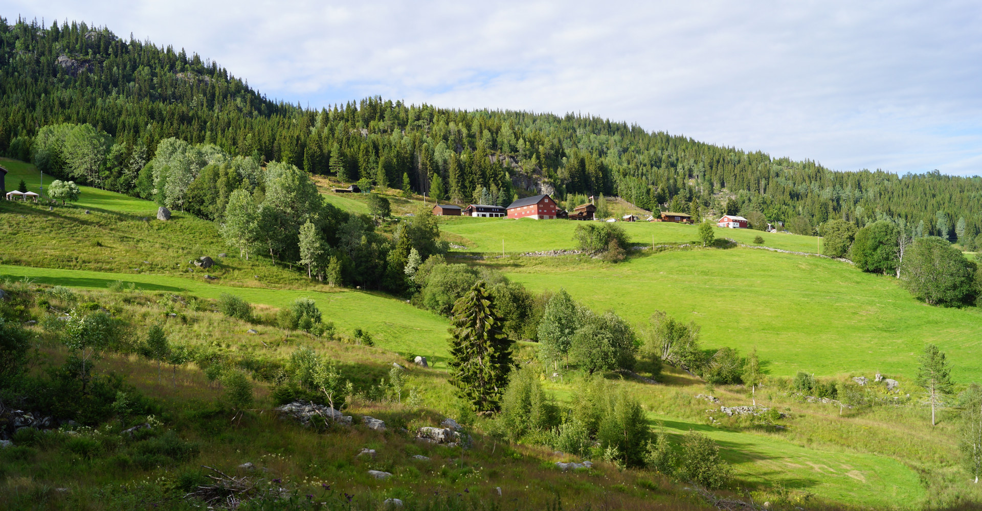 Morgedal 006-foto Geir Johansen.jpg