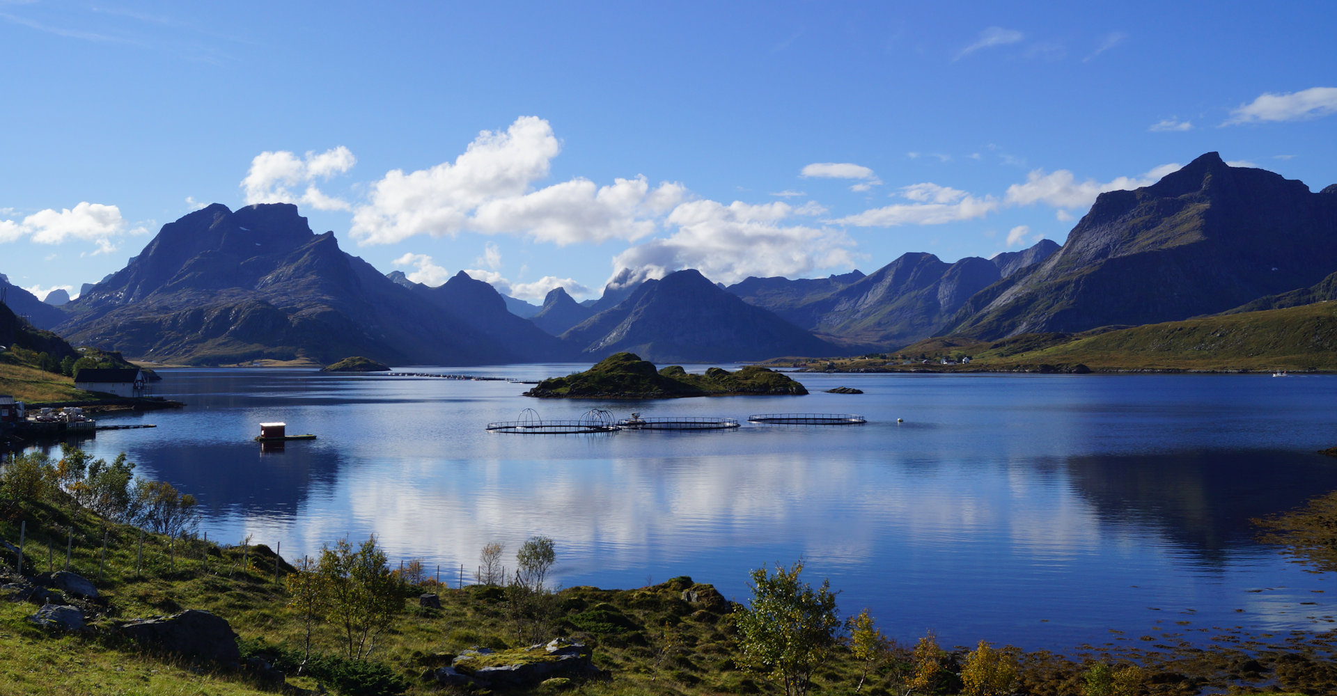 014 - Selfjorden i Vestlofoten - foto Geir Johansen.jpg