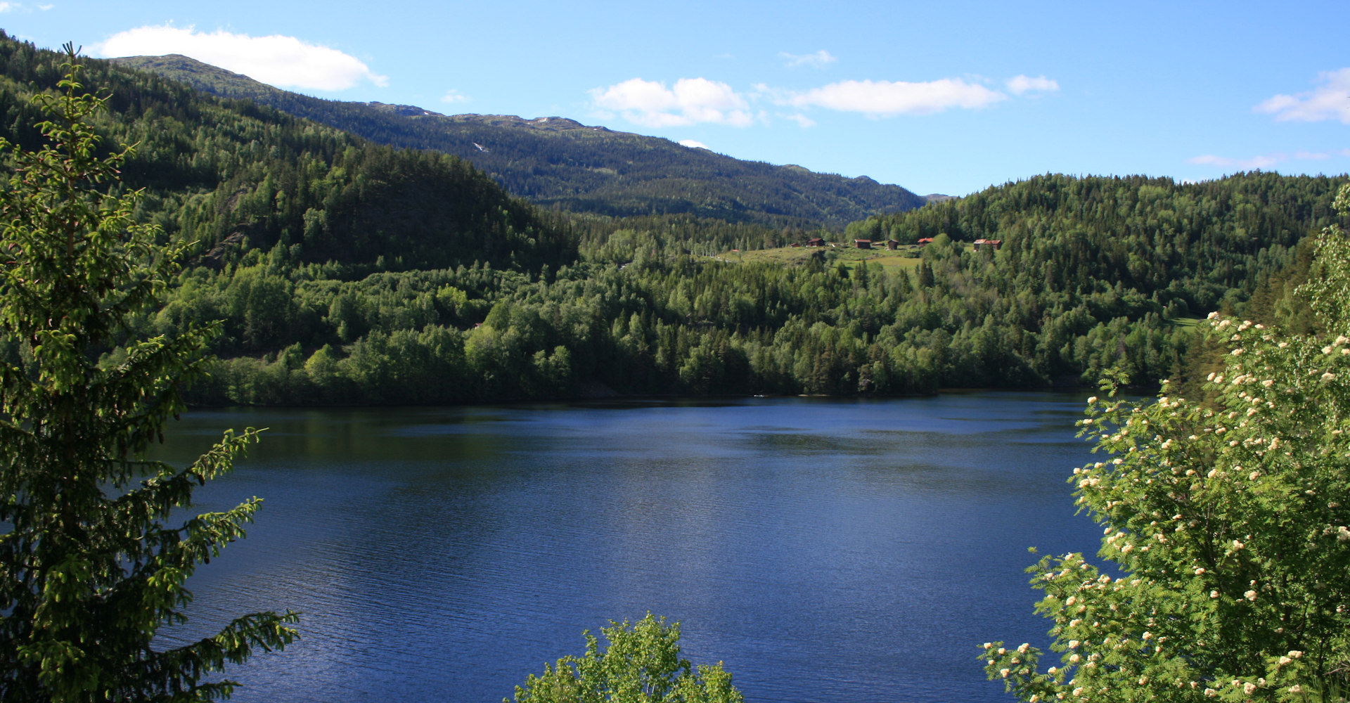 005 Telemarksnatur rett etter Nore stavkirke - Foto Geir Johansen.jpg