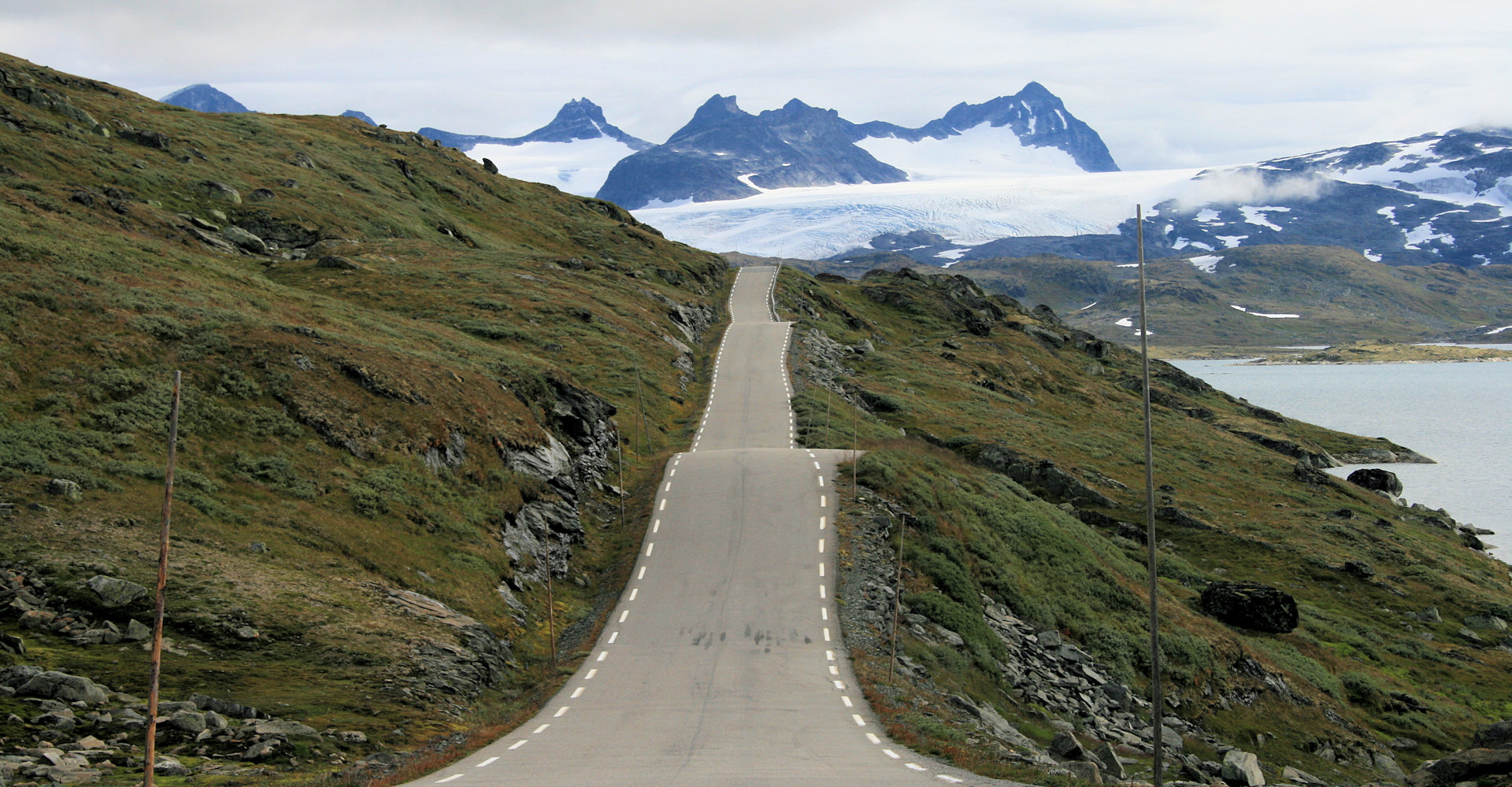 017 Fjellnatur på Sognefjellet - Foto Geir Johansen.jpg