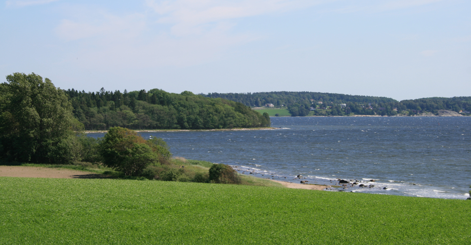 021 ved Alby på Jeløya-foto Geir Johansen.jpg