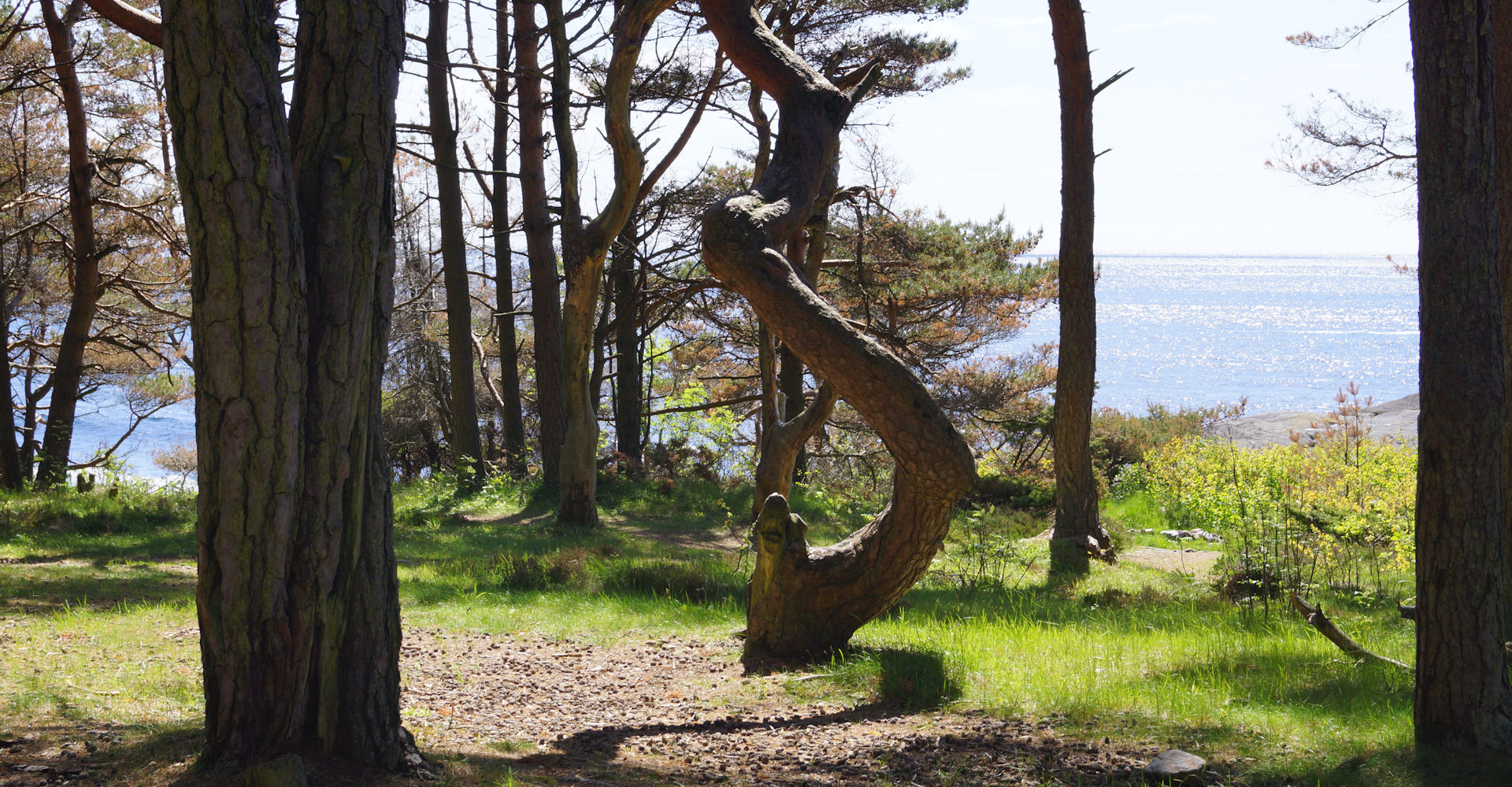 012 - Hove og Hoveskogen - Foto Geir Johansen.jpg