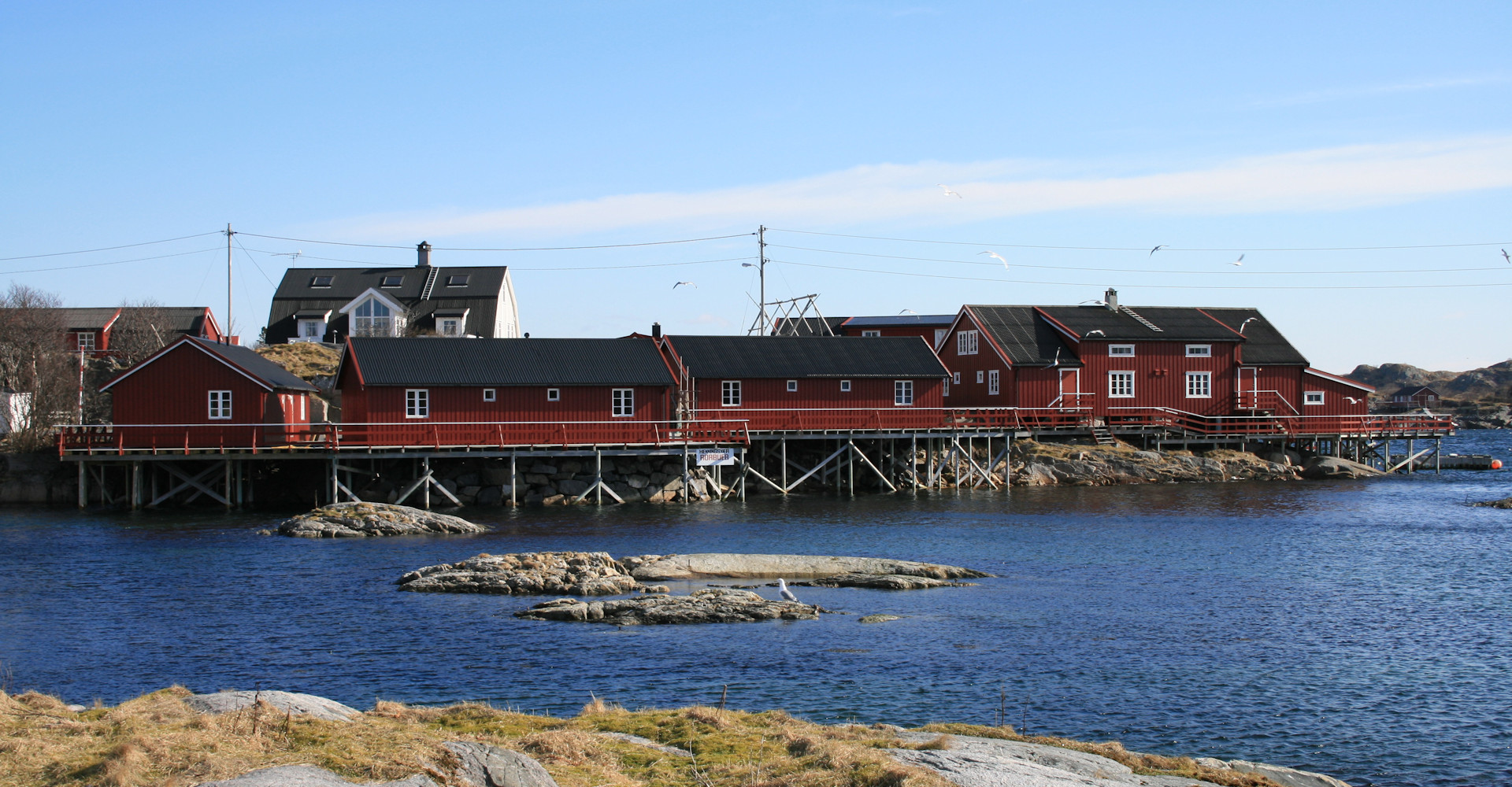 008-rorbusenter i Henningsvær-foto Geir Johansen.jpg