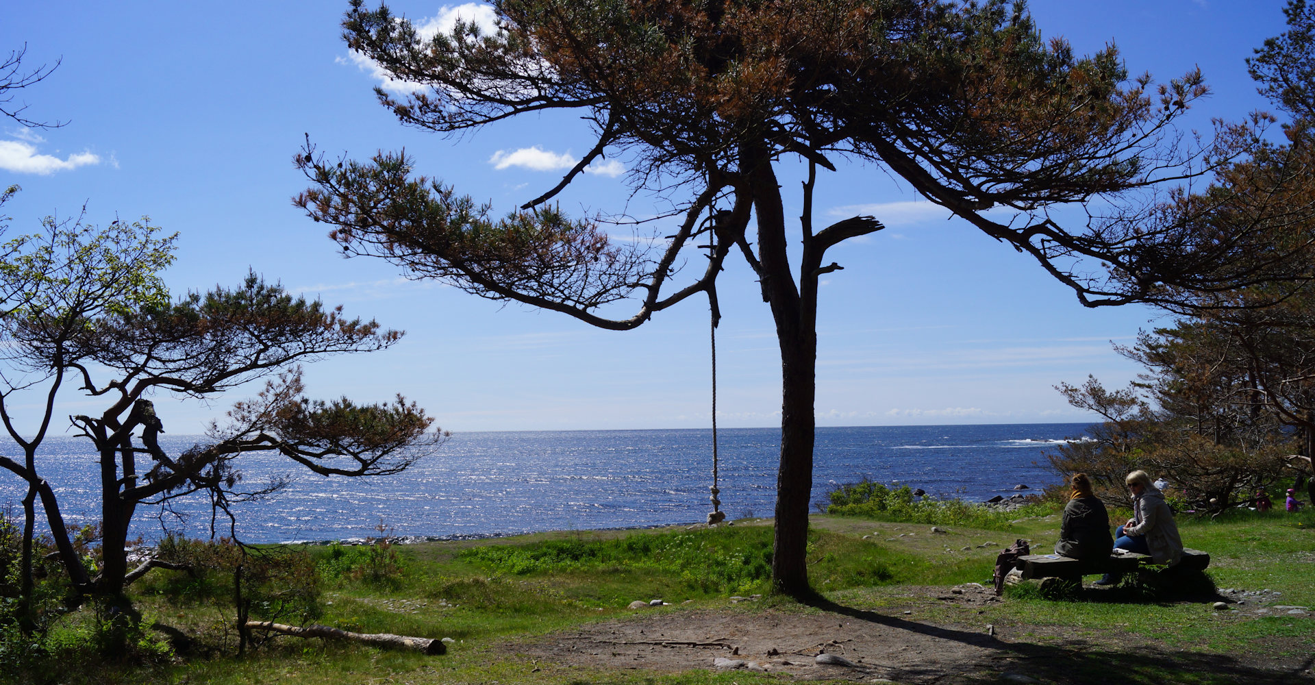 014 - Hove og Hoveskogen - Foto Geir Johansen.jpg