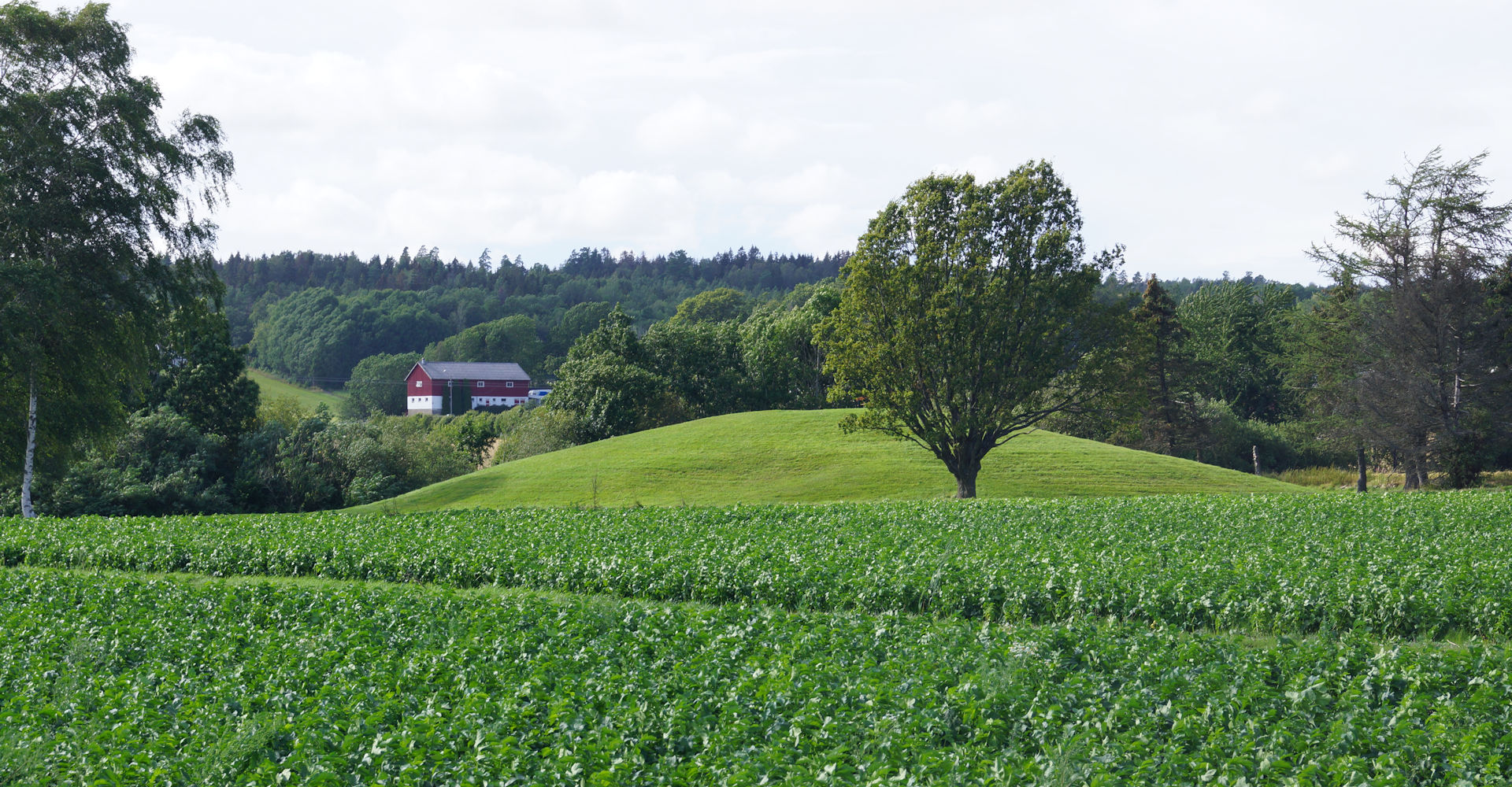 001 Oseberghaugen - Foto Geir Johansen.jpg