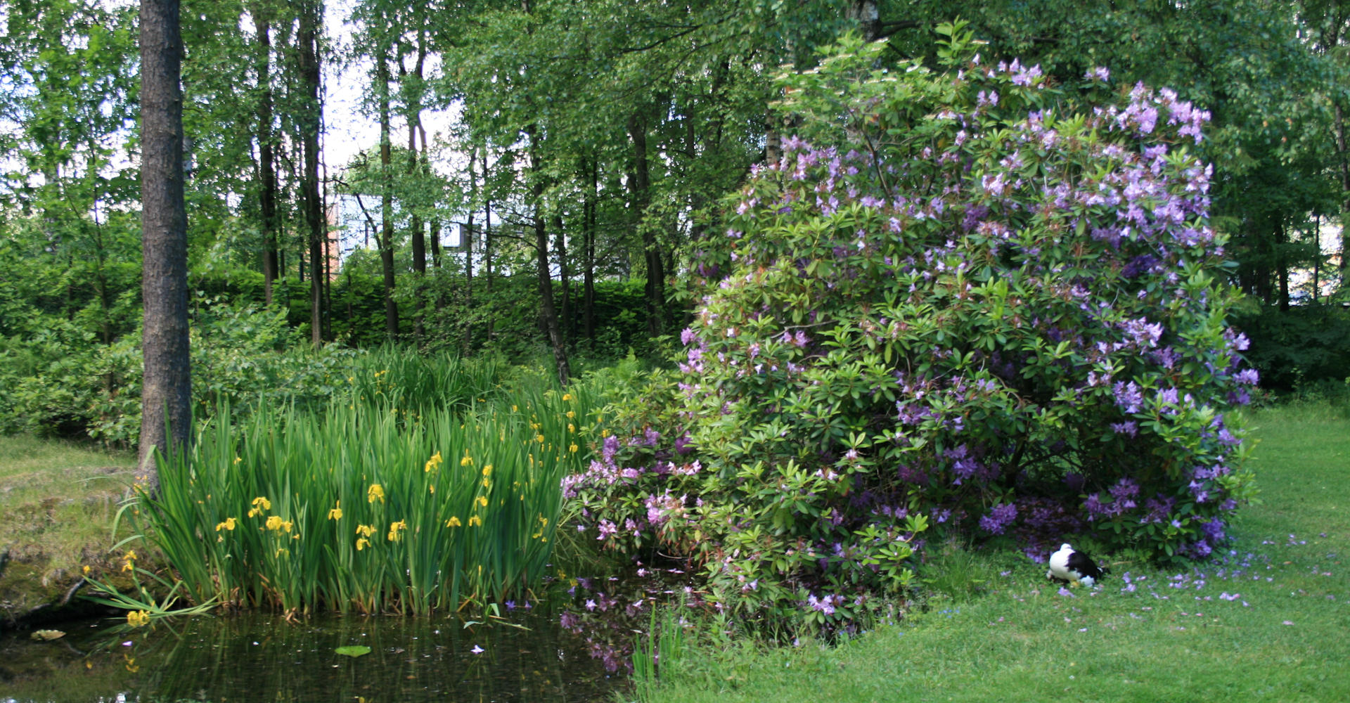 012 Gulskogen gård - Foto Geir Johansen.jpg