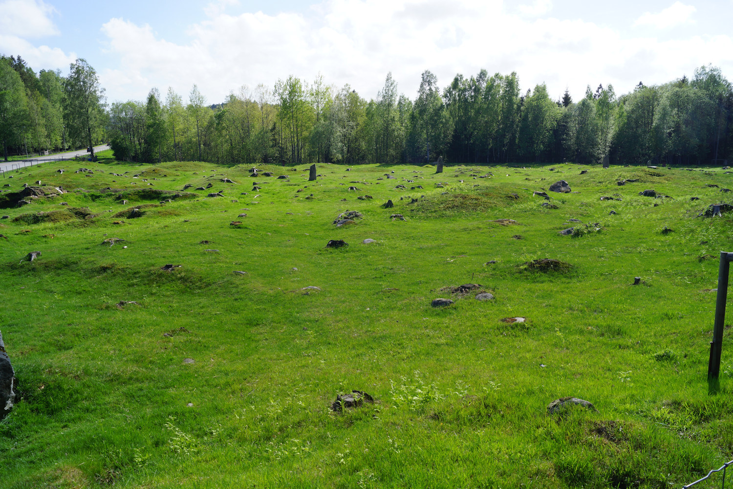 Opstadfeltet Gravfelt - 003 - foto Geir Johansen.jpg