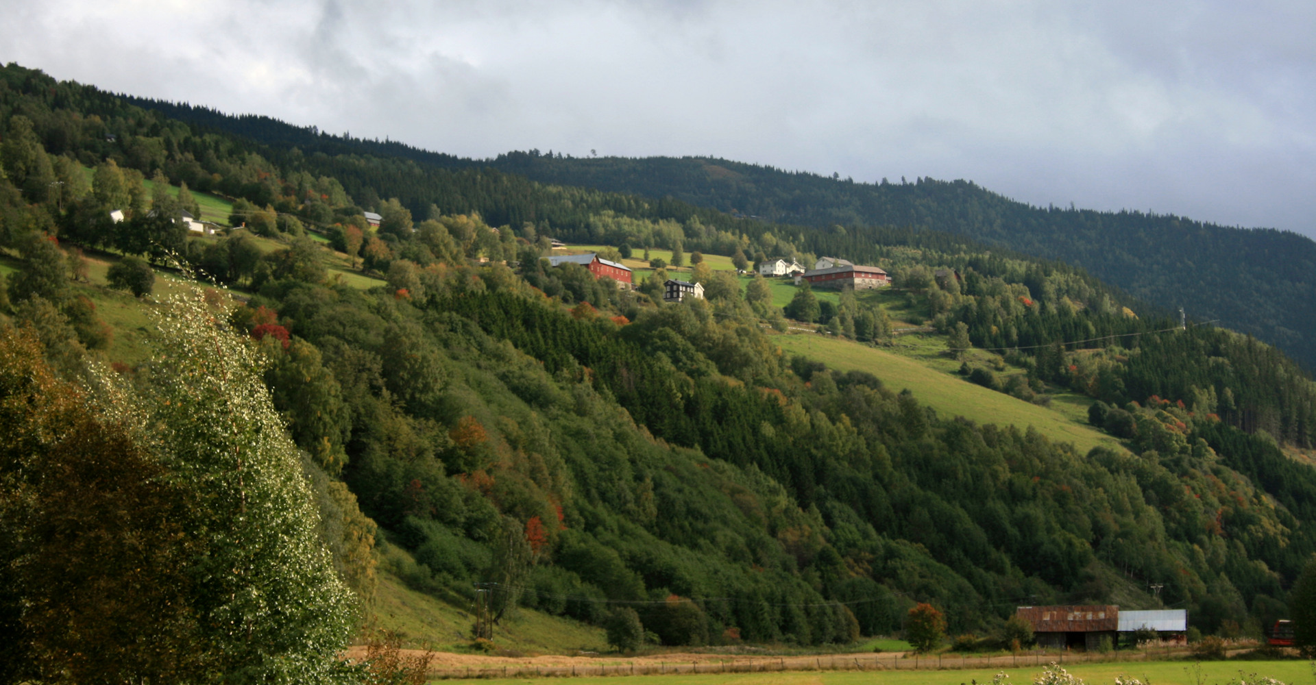 007 garder i fjellsiden ved Ringebu - Foto Geir Johansen.jpg