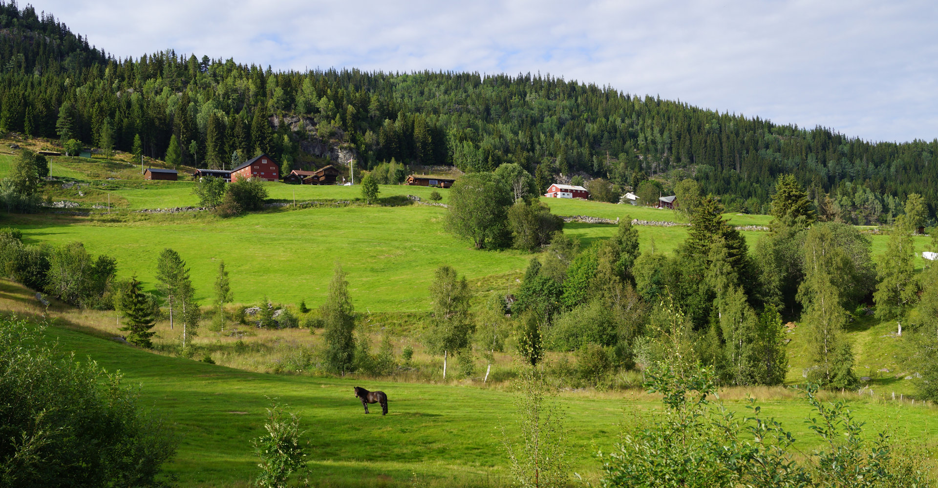 008 Norsk skieventyr - Morgedal - Foto Geir Johansen.jpg