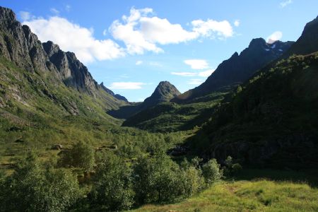 Natur etter Raftsundbrua