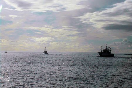 Fiskebåter på tur ut på havet