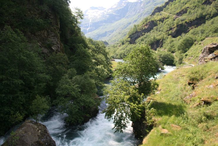 Flåmsdalen 004 natur foto Geir Johansen.jpg