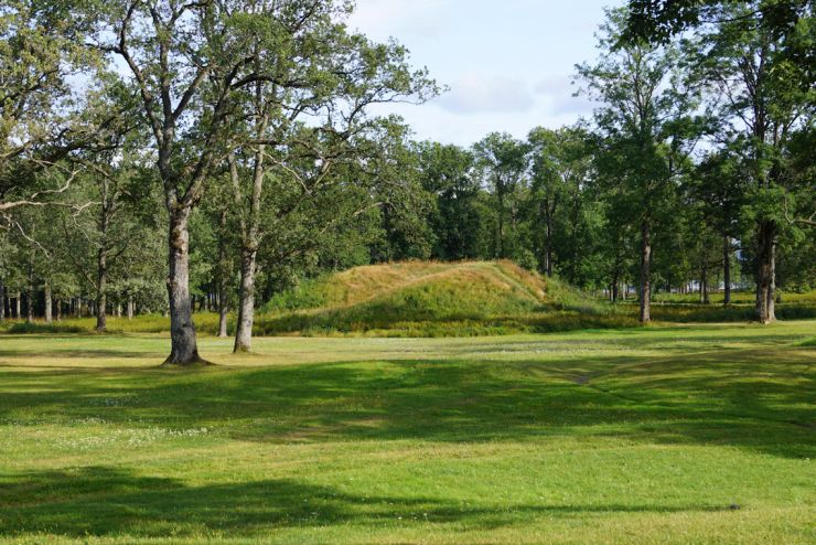 Borrehaugene - foto Geir Johansen.jpg