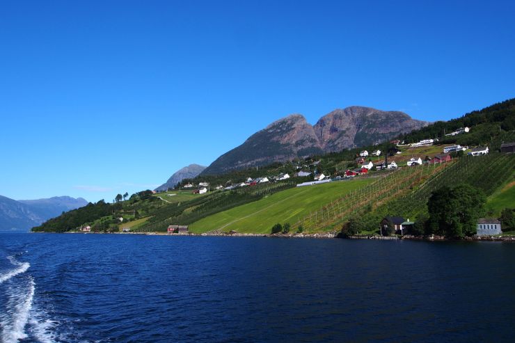 Fruktgard_i_Hardanger_-_foto_R_Heins.jpg